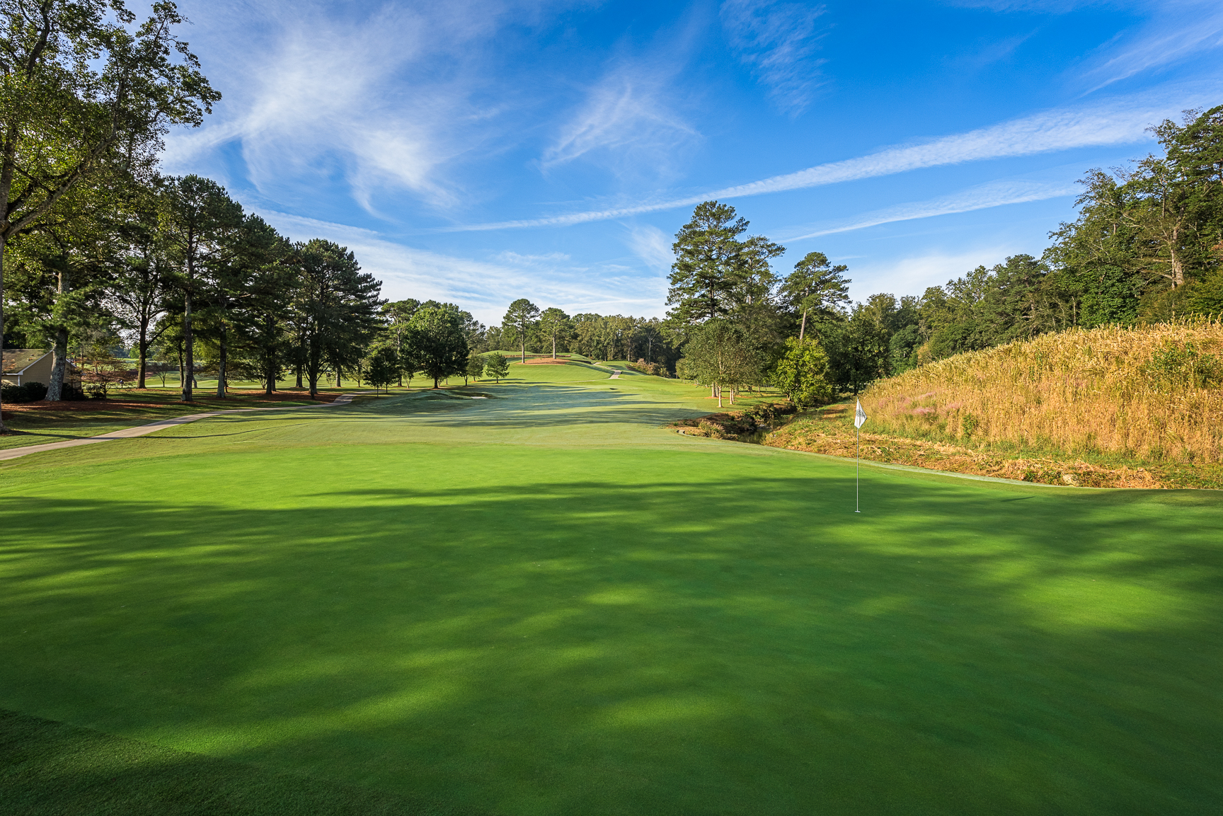 Druid Hills Golf Club View Course Hole